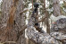 Fourth Arrow POV Flex Clamp Mount